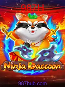 NinjaRaccoon